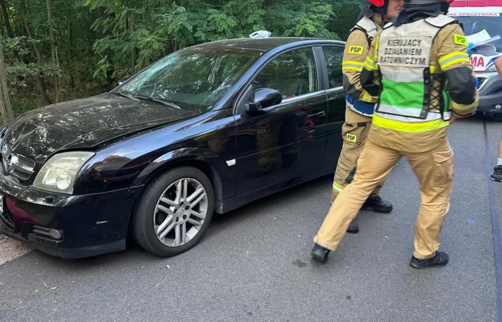 Pijany kierowca bez prawa jazdy wjechał w pielgrzymów pod Radomskiem. Dramat na trasie do Częstochowy